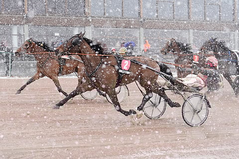 Ancio kesti ykköseksi kauden avauskisassaan. Make Cash kirii ulkoa aivan rinnalle.