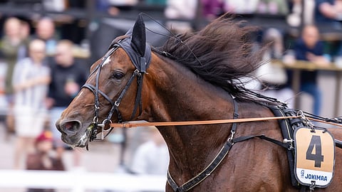 Massimo Hoist saa tervehtyä rauhassa. Finlandia-Ajon mahdollinen osallistuminen ratkeaa viikonloppuna.
