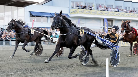 Gio Cash Norrbottens Stora Pris 2025