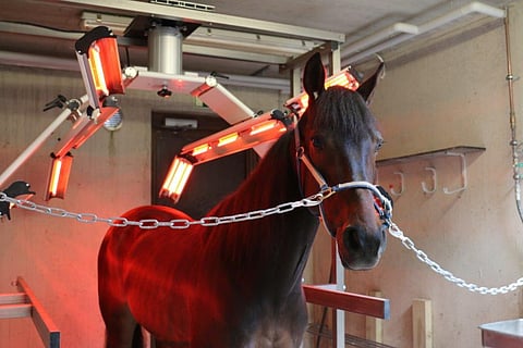 Italiano nauttii infrapunasta