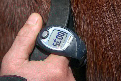 Ravivalmennuksen ydintä luvassa