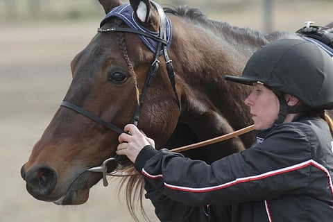 Bret Boko ja Suvi Himanka pyhän Finlandia-ajon alla.