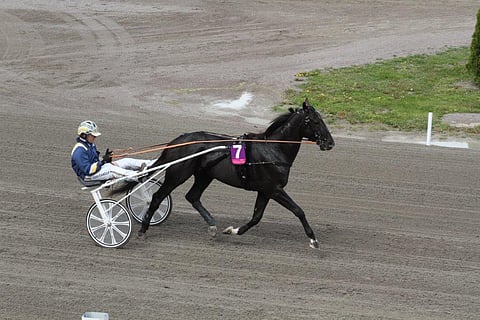 Nuncio ja Stefan Melander sijoittuivat toiseksi ensimmäisessä karsinnassa.