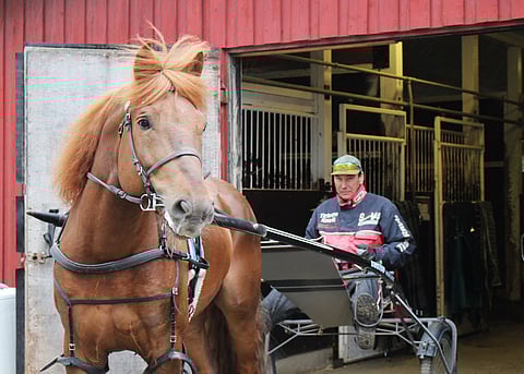 Seppo Sarkola kertoo, että Hullumies pysähtyy usein tallin ovensuulla katselemaan siitä aukeavaa näkymää radalle.