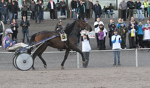 Komean kilpauran tehnyt Karl Adam jouduttiin lopettamaan.