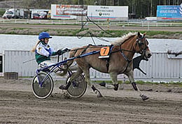 Miniatyr ja Pinja Iltanen.