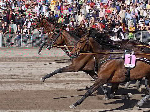 Mika Forssin ajaman Millstone's Eagerin kunto viilattiin menestyksekkäästi tappiin Suur-Hollolaan vuonna 2008.