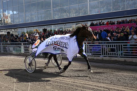 Lannem Silje on Pohjolan kuningatar.