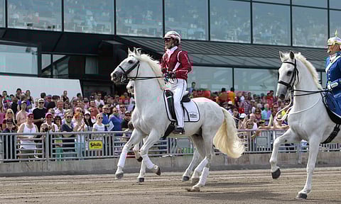 Lutfi Kolgjini on yhdessä Anna Svenssonin kanssa Pharaon Facen kasvattaja.