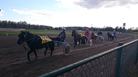 Poneille oli oma lähtö Riihimäen 19.5. harjoitusraveissa.