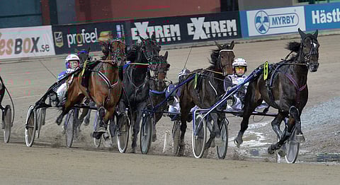 Shadow Woodland jatkoi voittosarjaansa Ruotsissa. Arkistokuva.