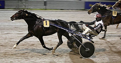 Avauskohteen Zatopek Hossissa on ideaa peliprosenttejaan enemmän.