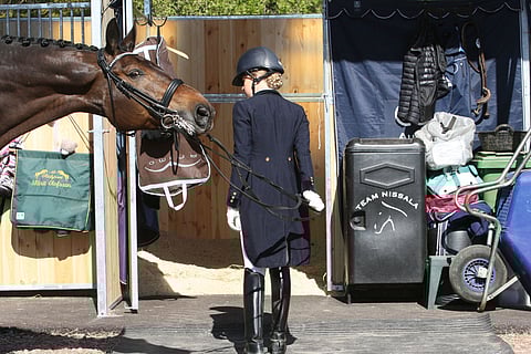 Anna Tallbergin uusi hevonen toimii kerta kerralta paremmin. Fernet on rento ja tyytyväinen oloonsa raviradan katokseen rakennetussa karsinassaan. Se esimerkiksi juo heti.