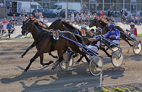 Venice vei voiton Oulussa, tässä tyylinäyte Tammakriteriumista