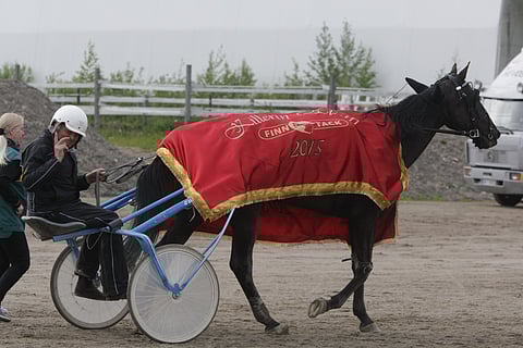 Hyvällä hevosella on myös hyvää tuuria, Seabiscuitista Suomessa huolehtiva Ivar Holmlund totesi.