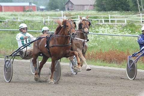 Kauhavan kesäravien yleisö sai nähdä A.T.Viskun ja Juha Länsimäen loppusuoran näytöksen