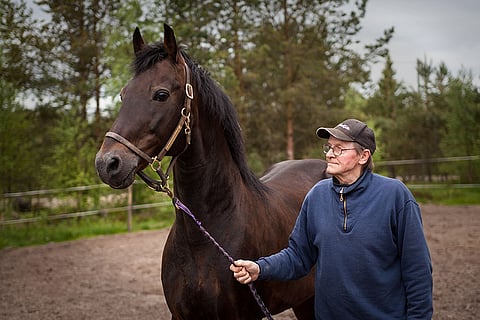 BWT Magic ja Matti Salmi ovat Kalajoen kaikkien aikojen kuuluisimpia raviurheilijoita.