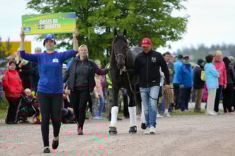 Kymi GP-hevoset saapuivat Uttiin. Kuva: Satu Pitkänen.