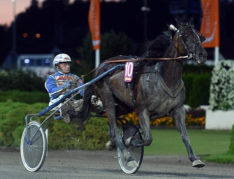 Seabiscuit on normaalisti nähty Jorma Kontion ohjastuksessa, mutta tällä kerralla kuski vaihtuu.