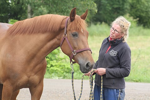 Mokomani ja Sanna Taimela.