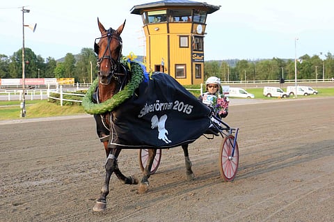 Ulf Ohlsson haki Silverörnen-palkinnot Knows Nothingilla.