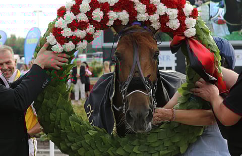 Viime vuoden kuningatar Mokomani taistelee tittelistä myös Joensuussa.