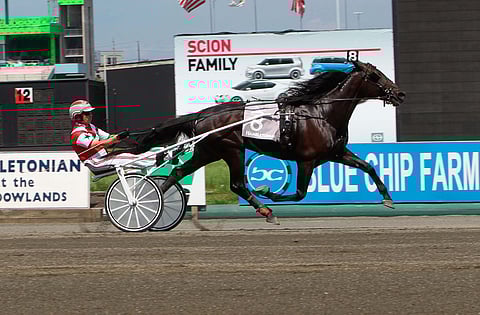 Creatine voitti kaksi vuotta sitten Mike Lachancen ajamana The Hambletonianin karsinnan.