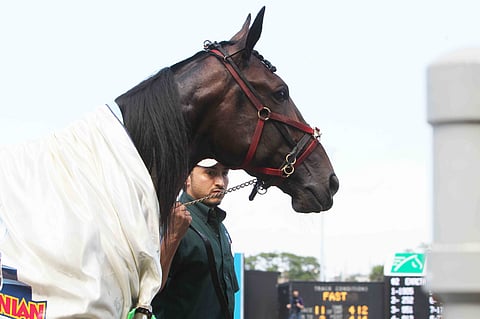 Jenkkitähti Creatine saapuu Mikkelin vauhtijuhlaan sunnuntaina.