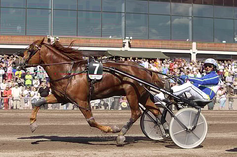 Jokivarren Kunkku on voittanut kylmäveristen Suur-Hollolan vuosina 2014, 2015 ja 2016.