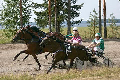 Pihtiputaalla ravataan taas heinä-elokuussa.