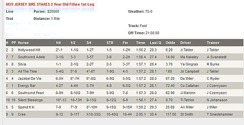 USA:ssa suomalaisten varsa toinen