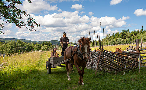 Rakkaudesta hevoseen. Eläinten päivä on valtakunnallisesti 4. lokakuuta vietettävä kansainvälinen vuosipäivä. Eläinten päivästä alkaa myös Eläinten viikko, jota vietetään 4.-10. lokakuuta. Ensimmäistä Eläinten viikkoa vietettiin vuonna 1959.