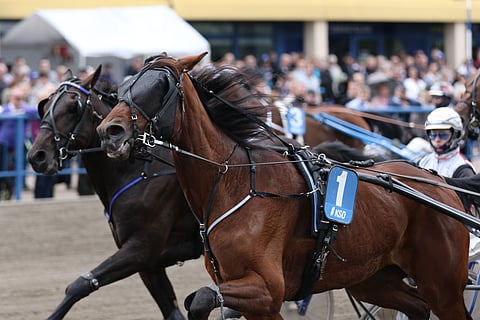 Inspis Arioso kannattaa pelata takarivin lähtöpaikaltakin.