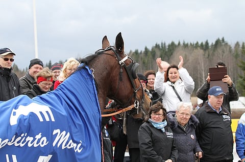 Teivon raviliigalaiset jännäävät tänään Arctic Madonnan Oulu Express -finaalipaikan puolesta.