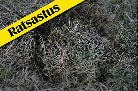 Parakomitean eron syynä hyvän hallintotavan ohittaminen