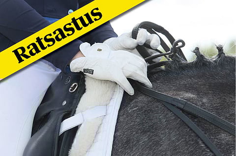 Österholm ja SatuSebbe vauhdissa Ruotsissa