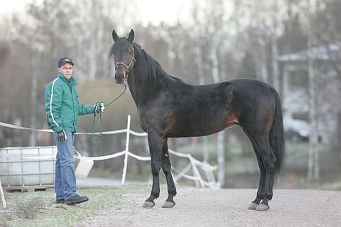 Ens Snapshot astui Suomessa kauden 2007 Janne Ihamuotilalla.