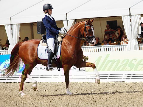 Melinda Ignatius ratsasti prosentit 62,2.