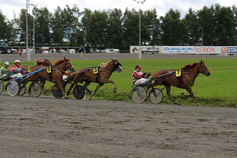 Numerolla seitsemän startannut Juntti-Jussi oli sunnuntain ravien ensimmäinen voittaja.