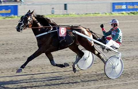 Oden Tilly vei Salamakypärät-lähtöä miten tahtoi, ja Jukka Torvinen pääsi tuulettamaan.