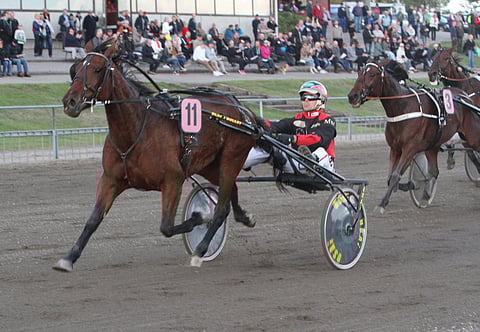 Jättiyllättäjä Neige du Pommier hallitsi Matti Nisosen ohjastamana Lappeen maalisuoraa. Kuva Harri Lind.