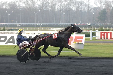 Ranskalainen Orlando Vici (kuvassa) sai isänä sunnuntaina arvovoiton, kun poika Glen Ord Superb vei Norjan Derbyn miljoonan kruunun ykköspalkinnon.