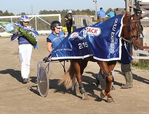 Anita Soininen sai ottaa passinsa Viktor Kärpän ohjat, kun oriista oli tullut Esa Holopaisen ohjastamana suurkilpailuvoittaja. Kuva Harri Lind.