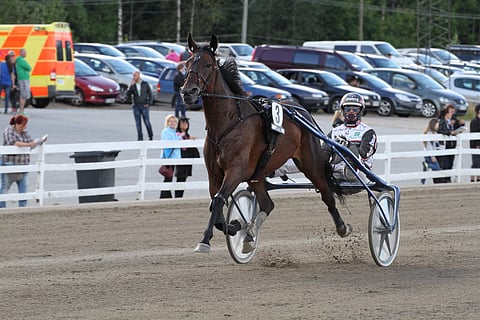 Elokuussa Hevosurheilijan lukijat äänestivät Venicen kuukauden lämminverihevoseksi.