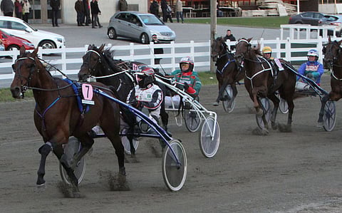 Victory Bonsai ei raskaankaan reissun jälkeen antanut Grainfield Oliverin yllättää itseään. Kuva: Harri Lind.