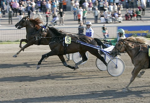 Holari on päätöskohteessa rajusti aliarvostettu.