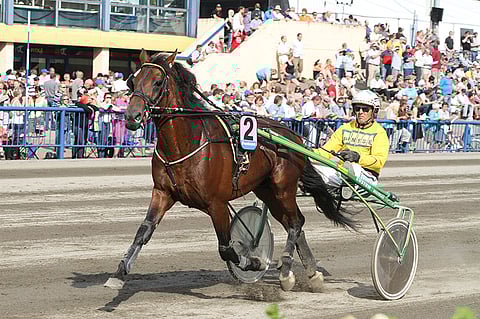 Lahjakas Prin Holz on juossut pitkän tauon jälkeen viisi kilpailua. Kuvassa ruuna ex-valmentajansa Veli-Pekka Toivasen ajamana.