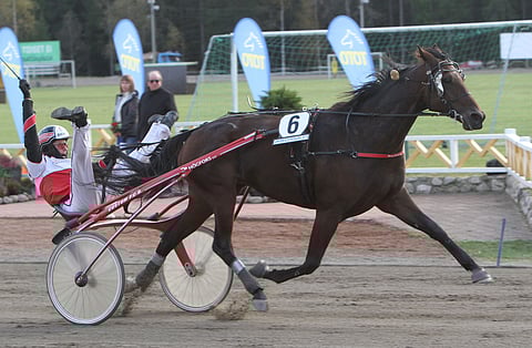 Varustemuutoksia kokeva Rocking Love tarjoaa avauskohteessa tiukan vastuksen suursuosikki Rapido Streamlinelle.