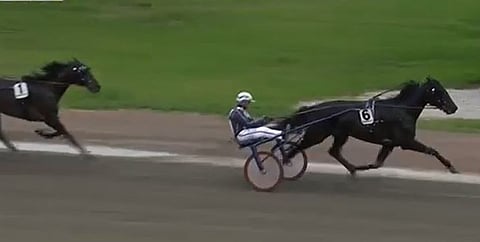 Shadow Woodland voitti helposti.