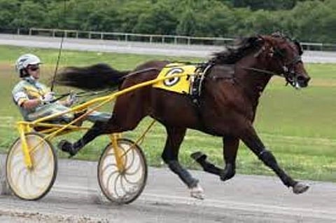 Southwind Frank ja Yannick Gingras olivat lennossa torstaina Lexingtonissa.